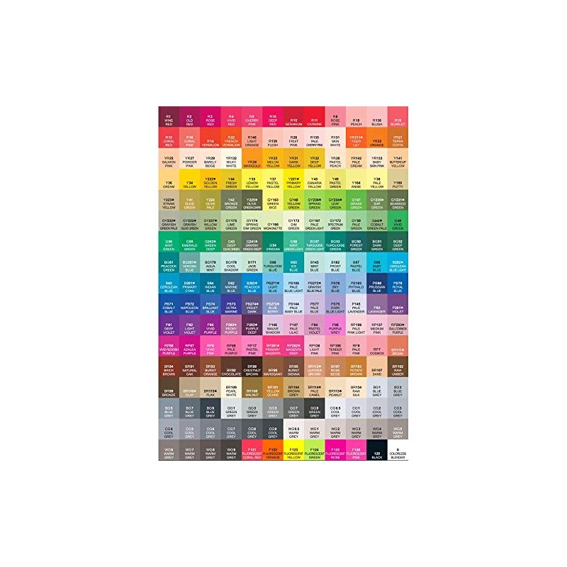 ShinHan Touch Twin Brush Marker - CG2 Cool Grey