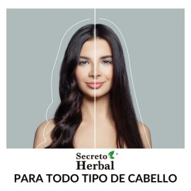 Shampoo Secreto Herbal Anticaída Con Cola De Caballo 1L