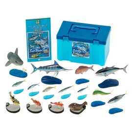 Carolata, Saltwater Fish, 3D Picture Book (15 Types / Stand, Instruction Book), Realistic Figure (Educational Toy), Birthday Gift, Gift (Food Sanitation Act Clear), Fish Toy