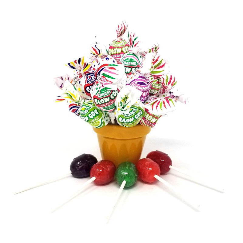 CrazyOutlet Charms Blow Pops Candy Bulk Lollipops, Bubble Gum Filled