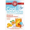 Japan Green Tea Center Pompadour Peach & Passion Fruit 1.6