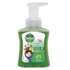 Dettol Buy Dettol Kids Colour Foaming Hand Wash Aloe Vera 250ml Online