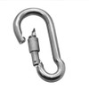 Carabiner Form D Stainless Steel V4A Snap Hook Silver Outdoor
