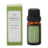 Alle Pure Essential Oil 100% Citronella, 10ml, 1 piece / 알레 퓨어 에센셜 오일 백프로 시트로넬라, 10ml, 1개