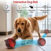 Yipetor Interactive Dog Toys Ball, Unswallowable 3.3'' Durable Replaceable Shell