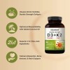 Vitamina D3 10,000 + K2 200mcg 240 Unidades Eg D115