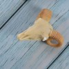 Wixine 1Pcs Aquarium Resin Sheep Head Skull Fish Tank Ornament