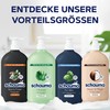 Schauma Shampoo for Men (750 ml (Pack of 1)