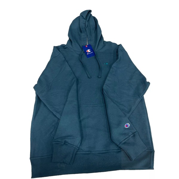 Champion Powerblend Fleece Hoodie Size Medium In Metallic Tea