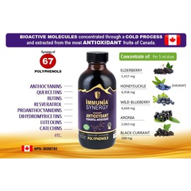 Fruitomed Immunia SYNERGY - Elderberry Supplement for Immune System Support - Powerful Natural Antioxidant. POLYPHENOLS: Anthocyanins, Quercetins. Elderberries from Canada. (3 bottles)