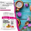 BioHerb® | Cardo Mariano, Extracto 80% Silimarina, 180 Cápsulas de