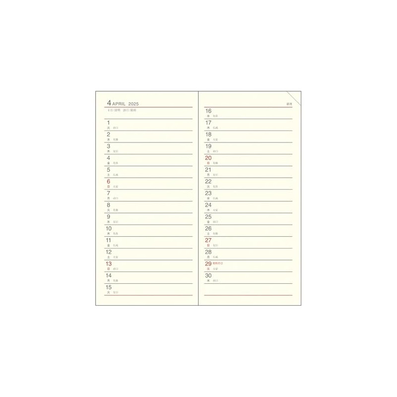 Daigo E8217 2025 Planner, Appointment, Monthly, Horizontal Black, Begins December