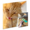 KITTY KA-ZOOM Zoom Sticks - Silvervine Sticks Covered in Silvervine