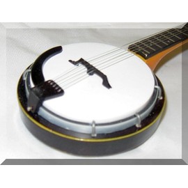 Earl Scruggs BANJO Miniature Bluegrass FOR DISPLAY ONLY (b)