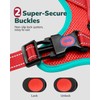 FAYOGOO Dog Harness, No-Pull Pet Harness Set for Small Medium