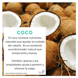 Extracto de Neem 50ml y shampoo control caída Neem 350ml
