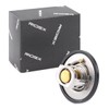 RIDEX Thermostat + Gasket