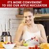 Apple Corer, Stainless Steel Apple Cutter, Stainless Steel Apple or