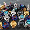 RISON Titanium Bolts Titanium Flange Hex Head Bolts Burnt Blue