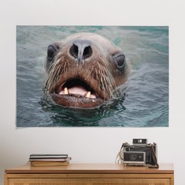 Lantern Press 24x36 Inch Giclee Print, Oregon Coast, Sea Lion, Head Out of the Water, Photograph