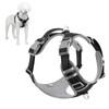 Plutus Pet No Pull Dog Harness, Release At Neck, Reflective