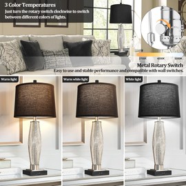 QiMH Table Lamps Set of 2, Bedroom Lamp with USB Charging Ports, Modern Glass Beside Lamps for Living Room Rotary Switches, Black Nightstand Lamp Home Lights Decor (LED Bulbs Included)