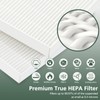 Filter H 5500-2 Replacement Filter For Winix Air Purifier 116130