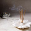 Kusunoki Senko Rinessha, 2.4 oz (70 g), 2 Boxes, Incense