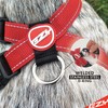 EzyDog Chest Plate No Pull Dog Harness – Escape Proof