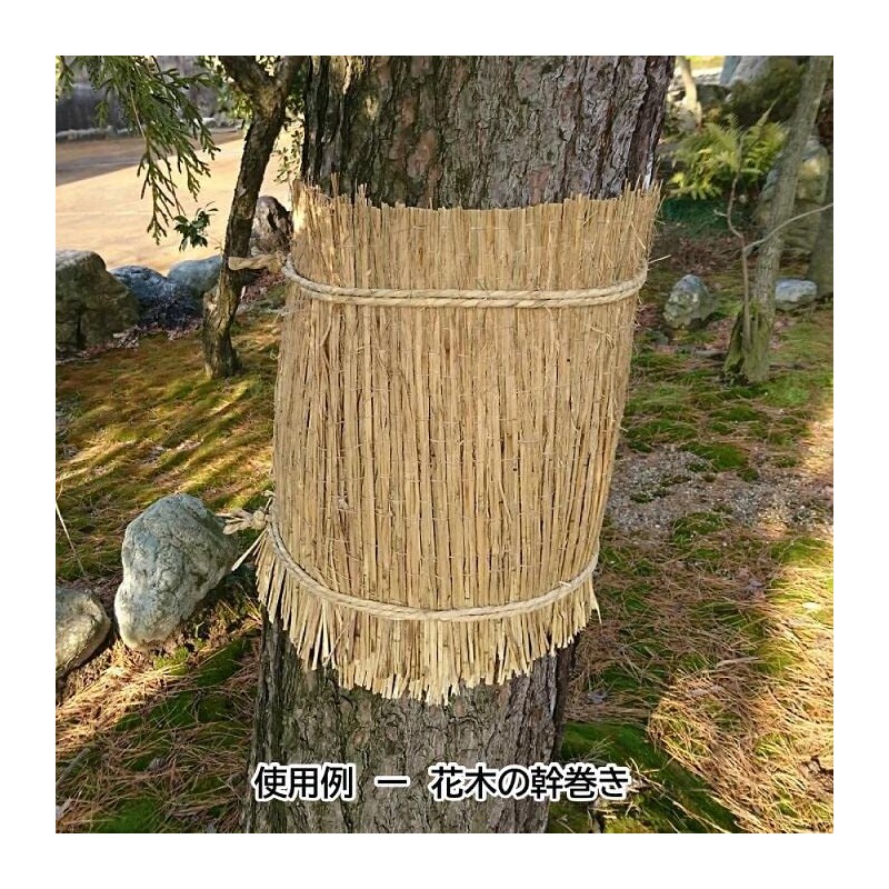 Usui Agriculture and Livestock Products (Manufacture) Straw Mat, Approx. 19.7
