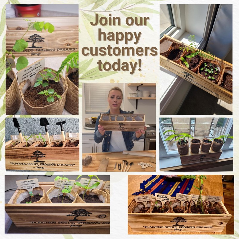 AVERGO Bonsai Tree Kit for Beginners – 5X Unique Japanese