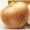 Onion Yellow Sweet Spanish Great Heirloom Vegetable 1 Lb Seeds