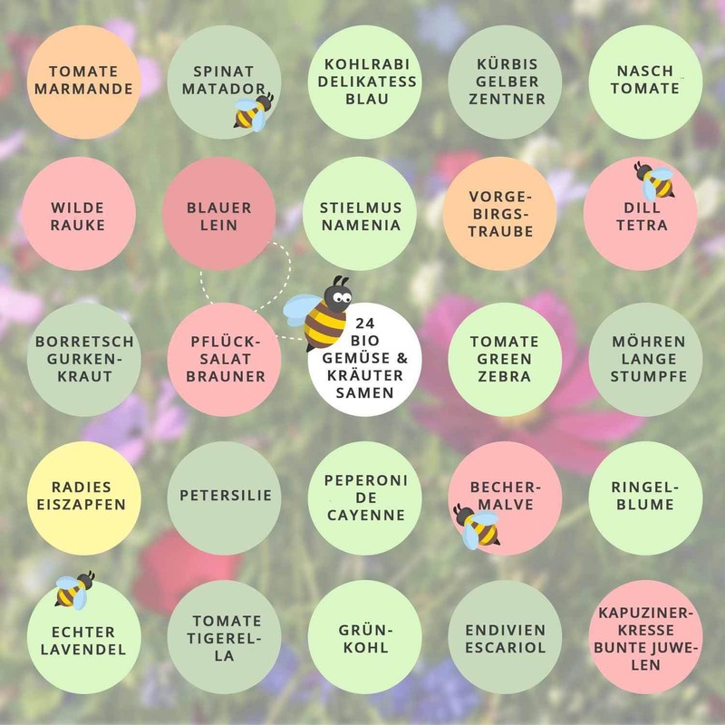 Organic Seeds Advent Calendar "Historical Varieties", 24 x Old Vegetable