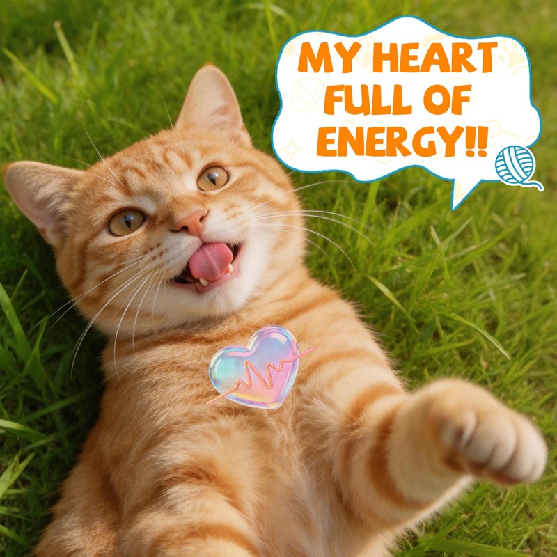 Taurine Powder for Cats Taurine, Feline Heart Vision, Energy Vitality