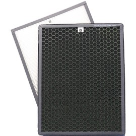 Green Air Encore HEPA and Odor Fighting Filter Combo Pack