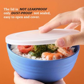 Shopwithgreen Wheat Straw Cereal Bowls with Dust-Proof Lid, Reusable Bowls for Kitchen, Set of 4, Microwave and Dishwasher Safe, for Soup, Oatmeal, Ramen, RV, Camping,College Dorm Room, 26 OZ, Coastal