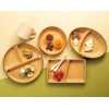 Canoe Earth Color Antibacterial Square Plate, S, 8.5 x 5.1