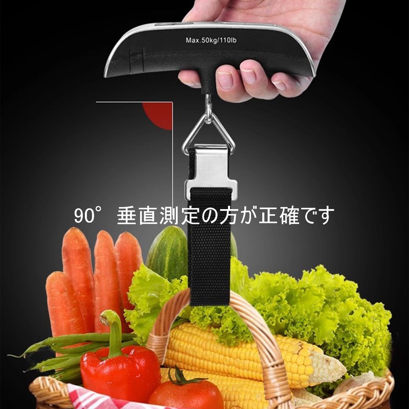 Hanging Scale, Bag Scale, Travel, Luggage Scale, LCC, Portable, Portable,