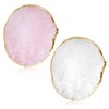 Wanmu 2Pcs Resin Nail Art Palette, Nail Painting Mixed Color