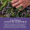 Herbal Essences Shampoo Antifrizz Lavanda & Aceite De Almendras 600