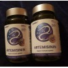 Zenlifer Artemisinin Supplement 600Mg Immune Support 2 pack 240 Capsules