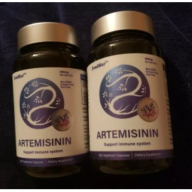 Zenlifer Artemisinin Supplement 600Mg Immune Support 2 pack 240 Capsules Total