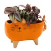 Dekohelden24 Ceramic Planter / Planter / Pink Cat Design Dimensions