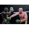 Deontay Wilder vs Tyson Fury Boxing Professional Boxer Cover Poster