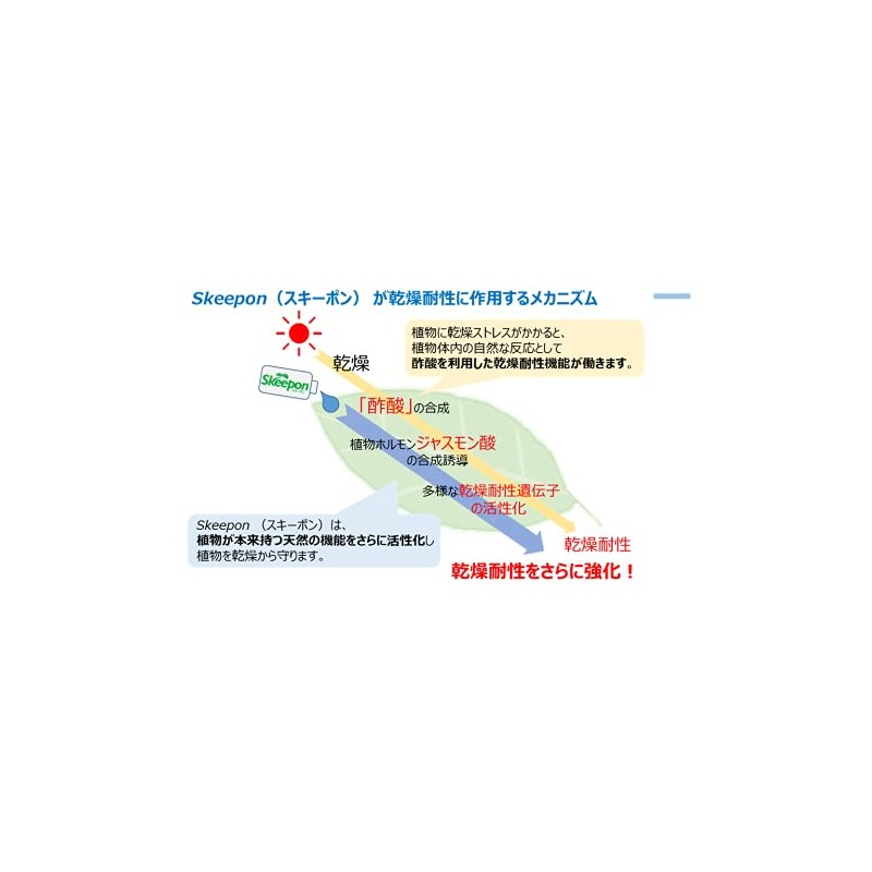 Skeepon Plant Activator, 33.8 fl oz (1000 ml)