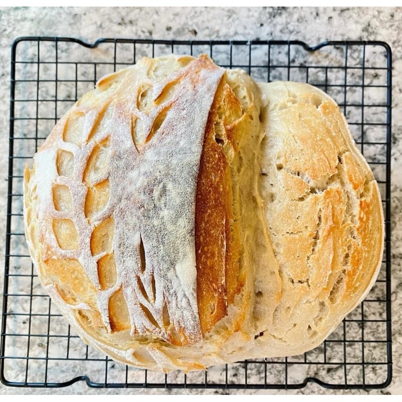 Great Grandmas EASY Sourdough Starter Heritage San Francisco - Live