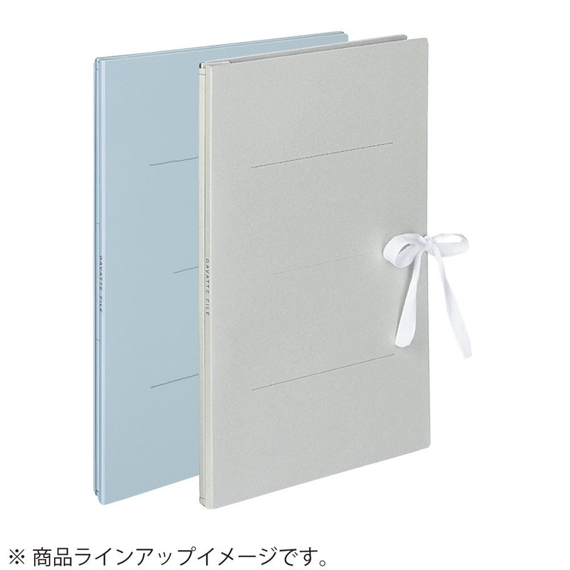 Kokuyo gabattofairu , grays