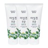 Happy Bath 해피바스 어성초 모공 클렌징폼 200g x3 Happy Bath Mugwort Pore Cleansing Foam 200g x3