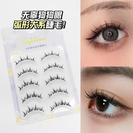 Tribute Meia Natural Nude Makeup Individual Eyelashes, 5 Pairs, Girl Group Daily Transparent Band 5 Pairs 10ea