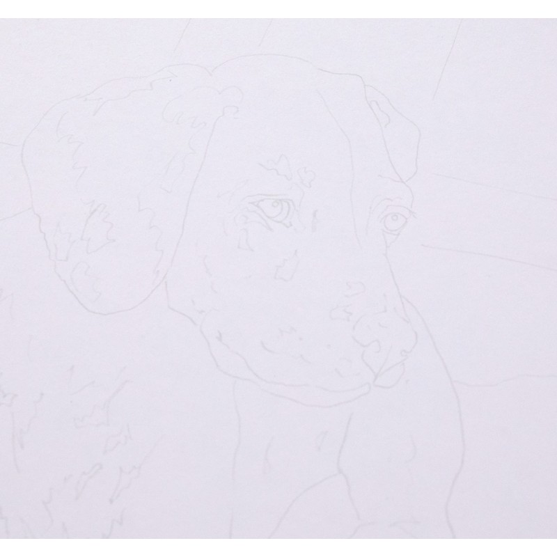 Royal Brush Sketching Made Easy Kit 9"X12"-Dalmation Pup